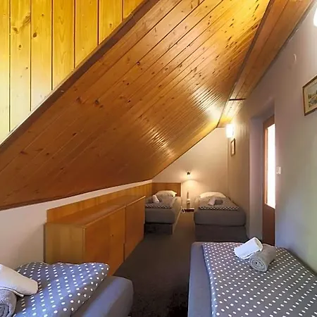 Star Hotel 3*